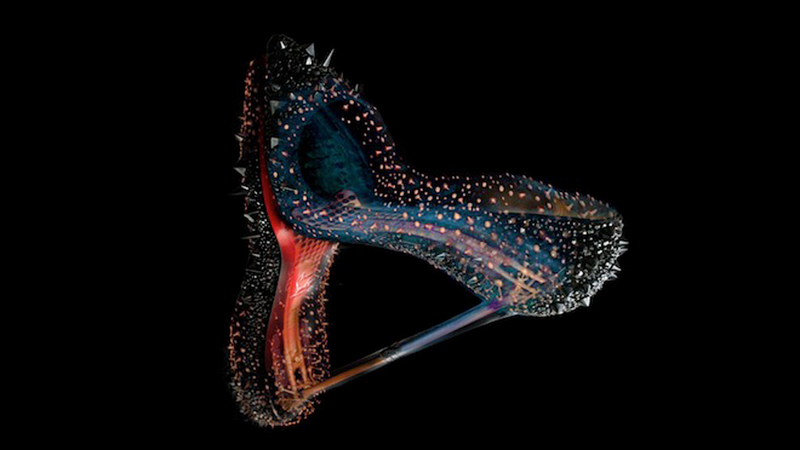 Illustration for article titled X-Rays Of Super Luxury Products Reveal The Tech Behind The Glitz